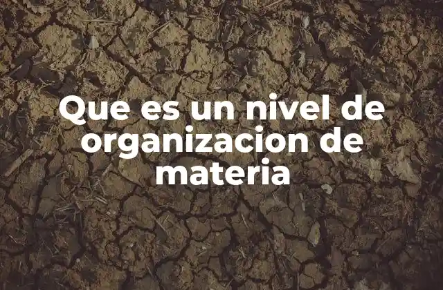 Que es un Nivel de Organizacion de Materia