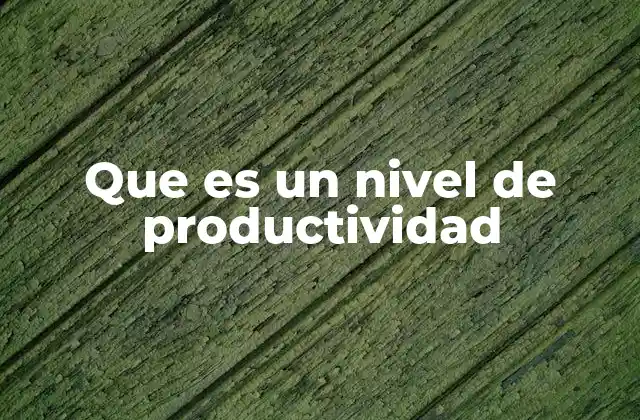 Que es un Nivel de Productividad