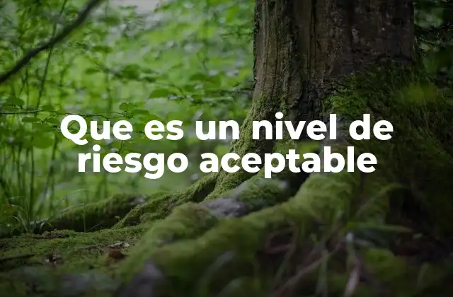 Que es un Nivel de Riesgo Aceptable