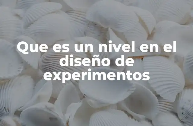 La importancia de los niveles en la estructura experimental