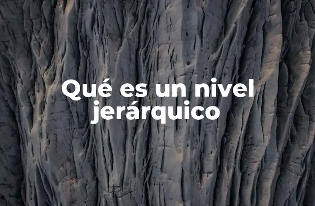 Qué es un Nivel Jerárquico