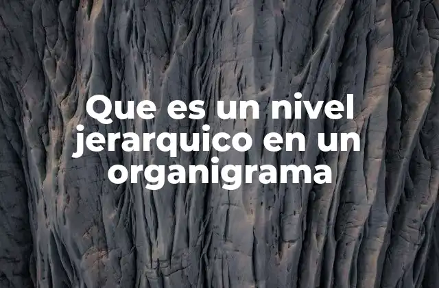 La importancia de la estructura en la toma de decisiones