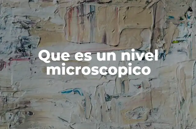 Que es un Nivel Microscopico