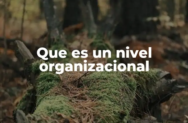 Que es un Nivel Organizacional