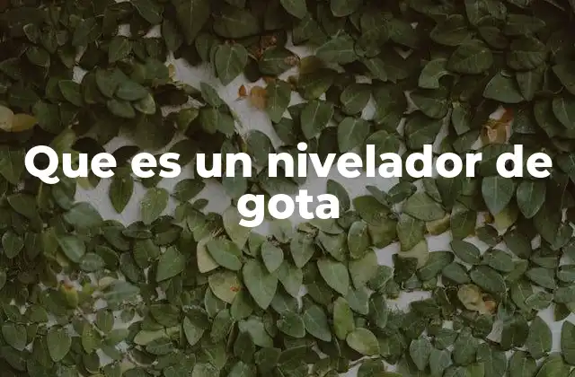 Que es un Nivelador de Gota
