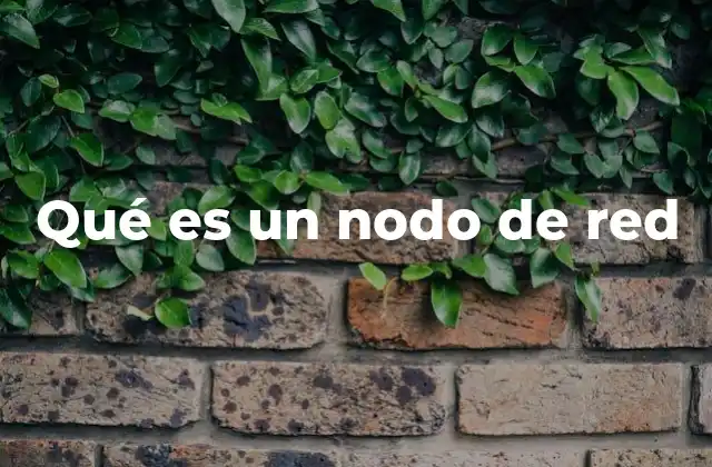 Qué es un Nodo de Red