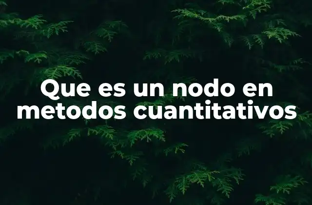 Que es un Nodo en Metodos Cuantitativos