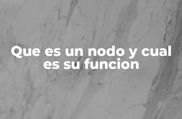 Que es un Nodo y Cual es Su Funcion