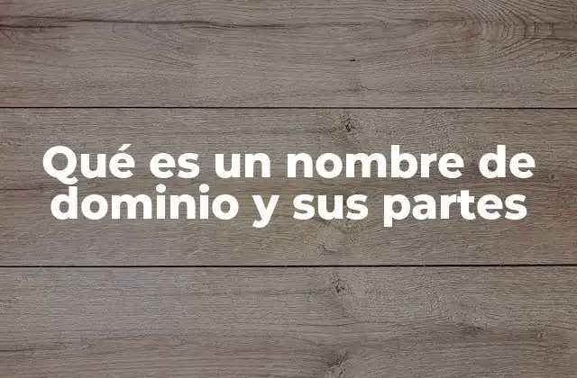 Qué es un Nombre de Dominio y Sus Partes