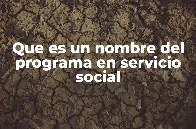 Que es un Nombre Del Programa en Servicio Social
