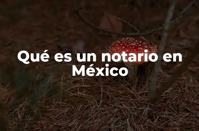 Qué es un Notario en México