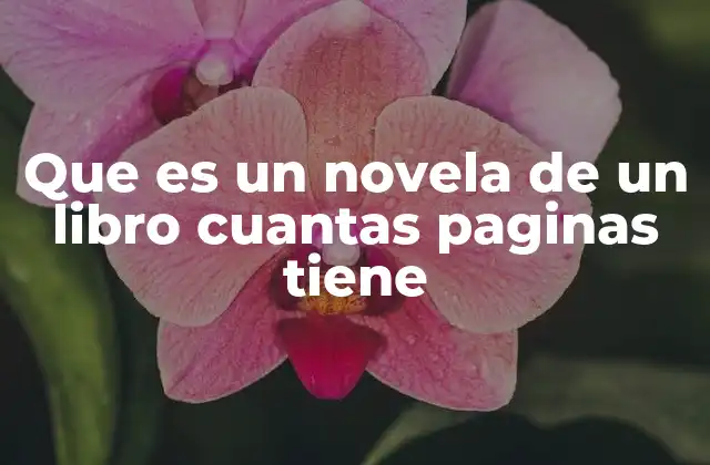 Que es un Novela de un Libro Cuantas Paginas Tiene