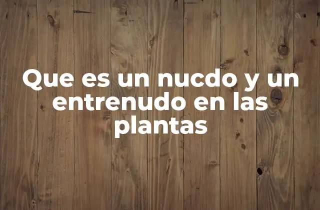 Que es un Nucdo y un Entrenudo en las Plantas