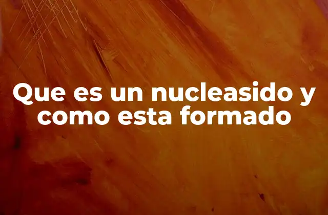 Que es un Nucleasido y como Esta Formado