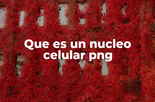 Que es un Nucleo Celular Png 2 La importancia del núcleo en la estructura celular