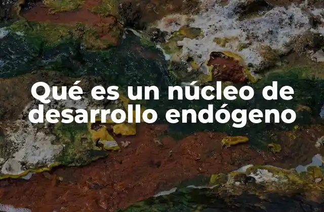 Qué es un Núcleo de Desarrollo Endógeno