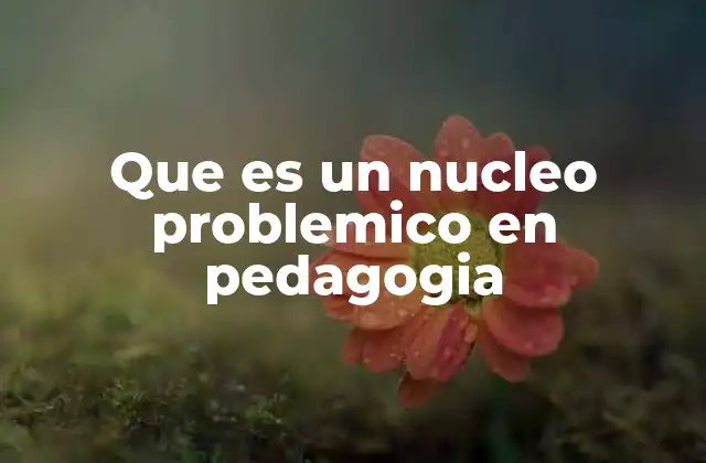 Que es un Nucleo Problemico en Pedagogia