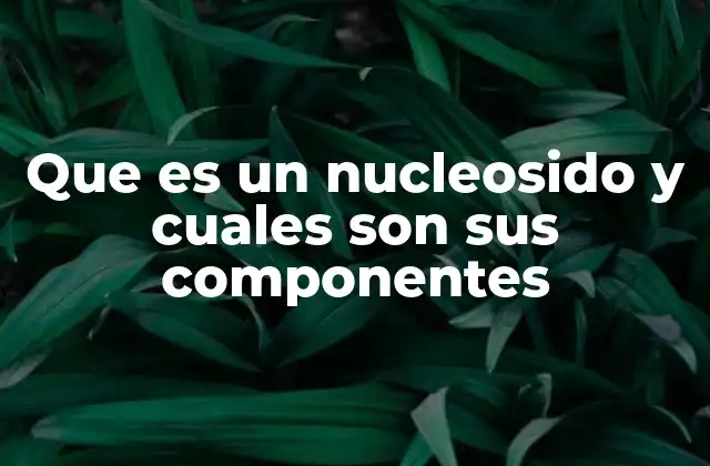 Que es un Nucleosido y Cuales Son Sus Componentes