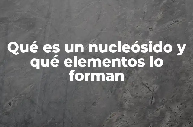 Qué es un Nucleósido y Qué Elementos Lo Forman