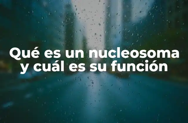 Qué es un Nucleosoma y Cuál es Su Función