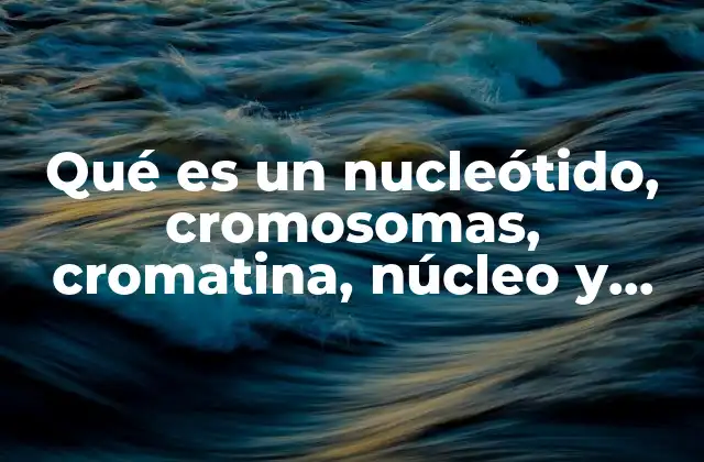 Qué es un Nucleótido, Cromosomas, Cromatina, Núcleo y Célula