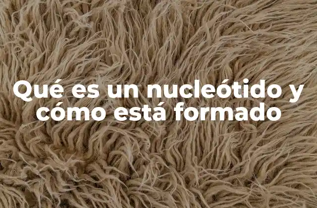 Qué es un Nucleótido y Cómo Está Formado