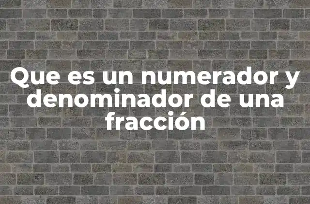 Que es un Numerador y Denominador de una Fracción