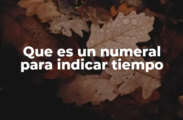 Que es un Numeral para Indicar Tiempo