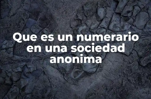 Que es un Numerario en una Sociedad Anonima
