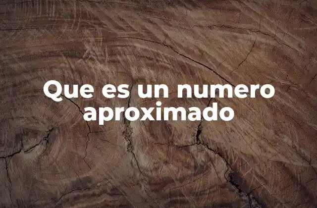 Que es un Numero Aproximado