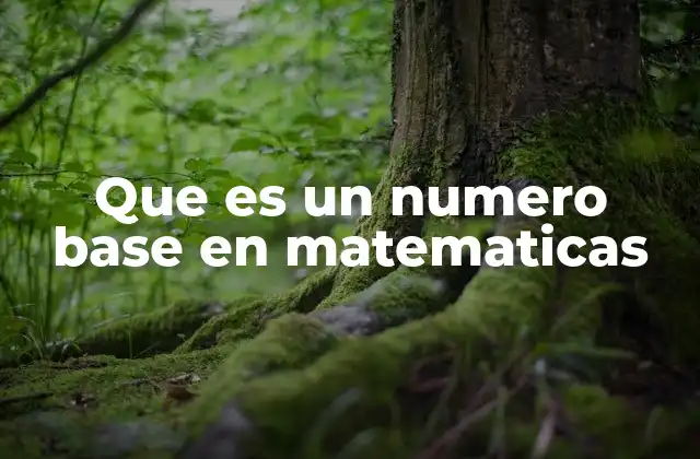 Que es un Numero Base en Matematicas