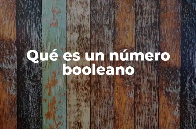Qué es un Número Booleano