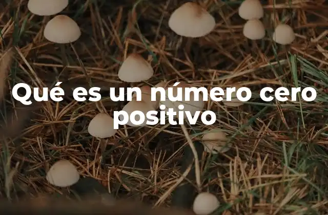 Qué es un Número Cero Positivo