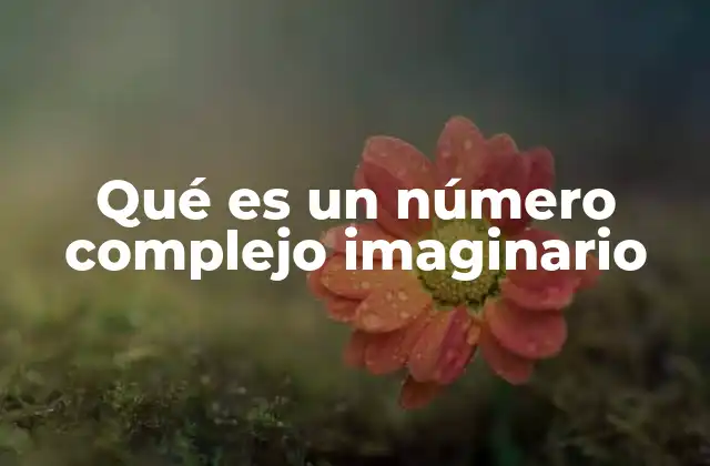 Qué es un Número Complejo Imaginario