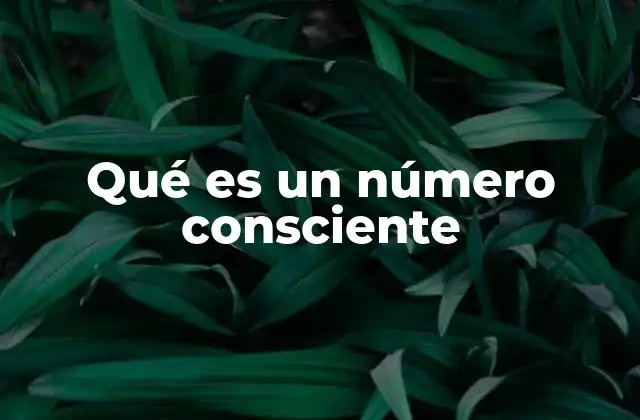 Qué es un Número Consciente