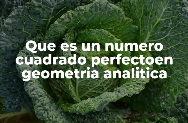 Que es un Numero Cuadrado Perfectoen Geometria Analitica