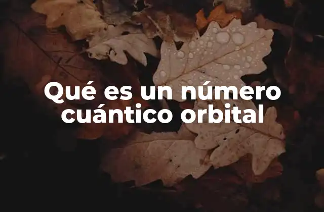 Qué es un Número Cuántico Orbital