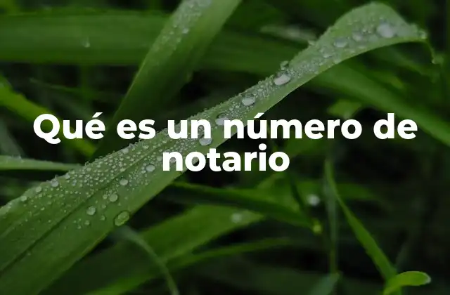 Qué es un Número de Notario