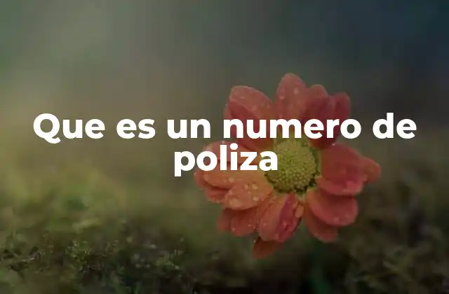 La importancia del identificador en contratos de seguro