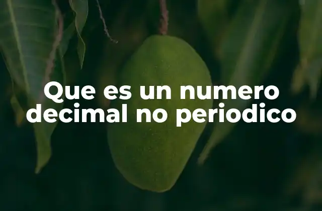 Que es un Numero Decimal No Periodico