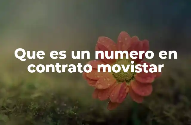 Que es un Numero en Contrato Movistar