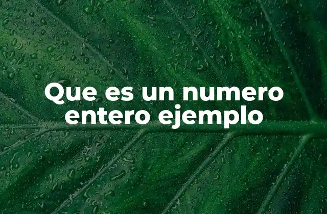 Que es un Numero Entero Ejemplo