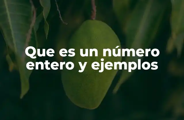 Que es un Número Entero y Ejemplos