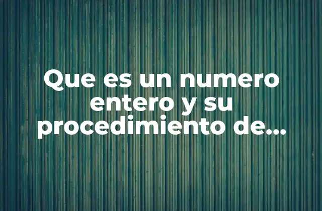 Que es un Numero Entero y Su Procedimiento de Multiplicacion
