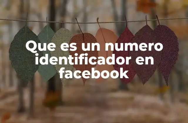 Que es un Numero Identificador en Facebook