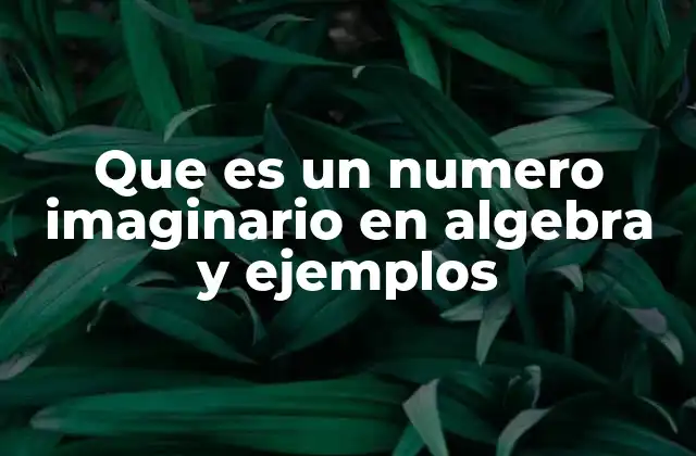 Que es un Numero Imaginario en Algebra y Ejemplos