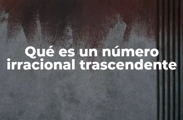 Qué es un Número Irracional Trascendente 2 Los números trascendentes y su lugar en la jerarquía numérica