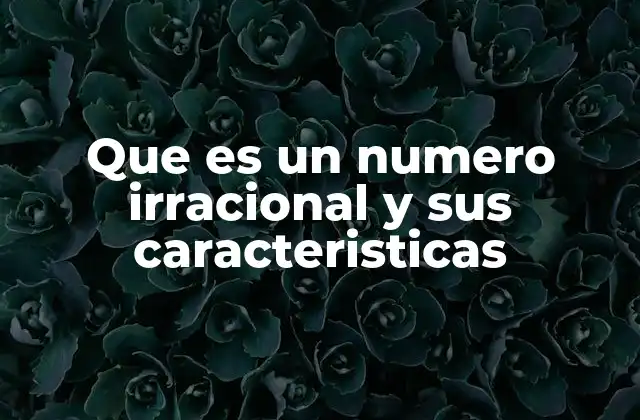 Que es un Numero Irracional y Sus Caracteristicas