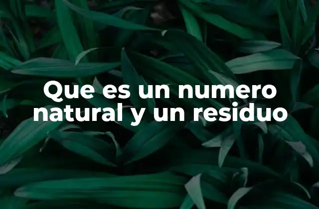 Que es un Numero Natural y un Residuo