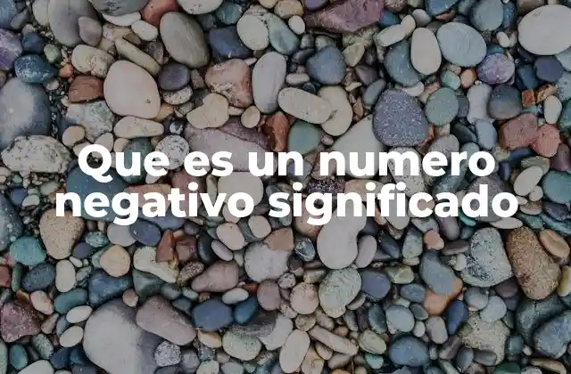 Que es un Numero Negativo Significado